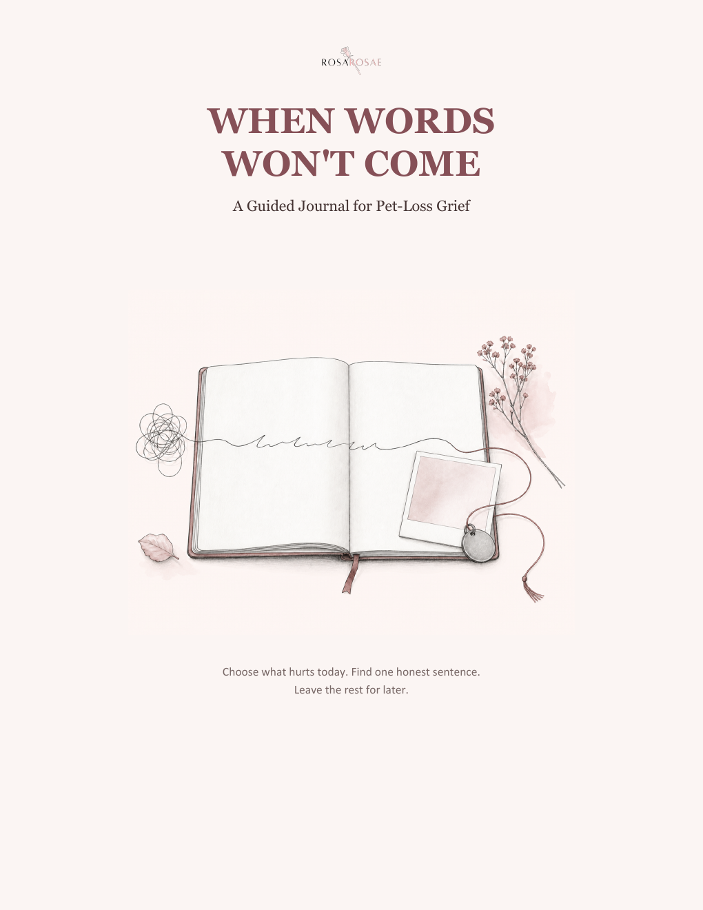 When Words Won’t Come journal cover
